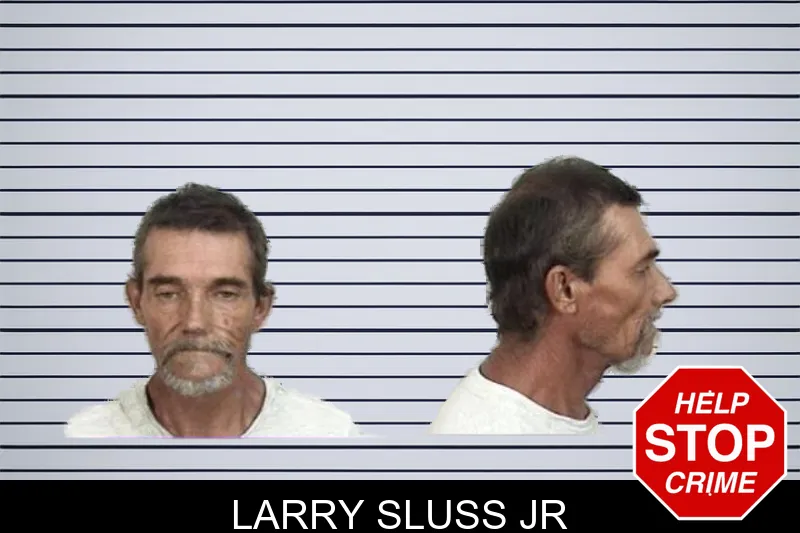 Larry Sluss Jr mugshot