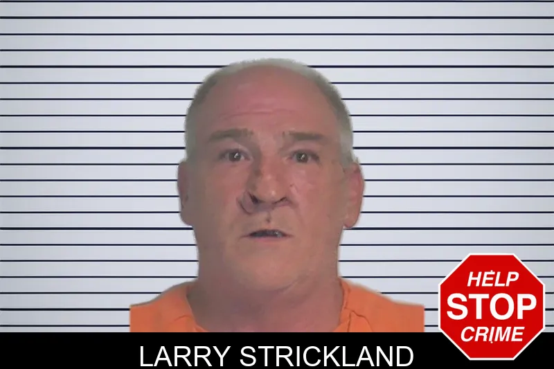 Larry Strickland mugshot – Berrien County , Georgia Larry Strickland mugshot