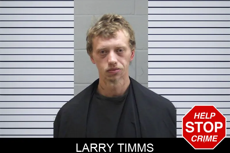 Larry Timms mugshot – Madison County , Georgia Larry Timms mugshot