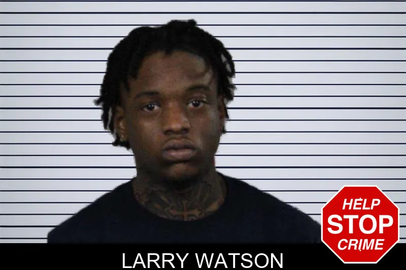 Larry Watson mugshot – Lamar County , Georgia Larry Watson mugshot