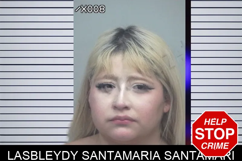 Lasbleydy Santamaria Santamari mugshot – Gwinnett County , Georgia Lasbleydy Santamaria Santamari mugshot