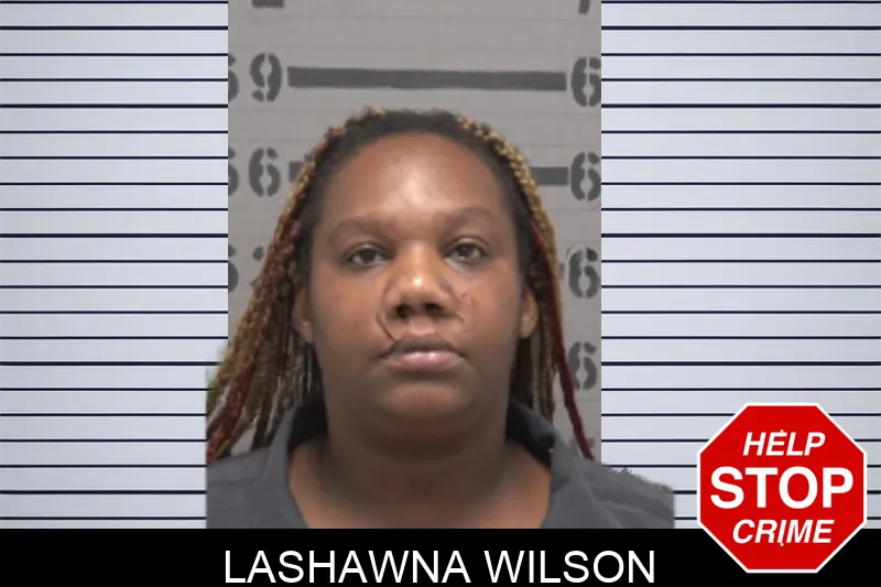 Lashawna Wilson mugshot – Dougherty County , Georgia Lashawna Wilson mugshot