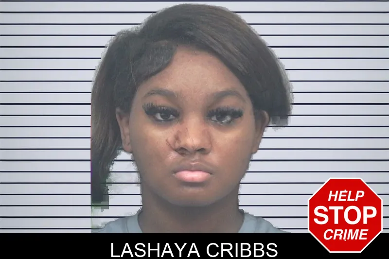 Lashaya Cribbs mugshot – Gwinnett County , Georgia Lashaya Cribbs mugshot