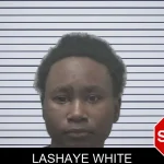 Lashaye White mugshot – Coweta County , Georgia Lashaye White mugshot