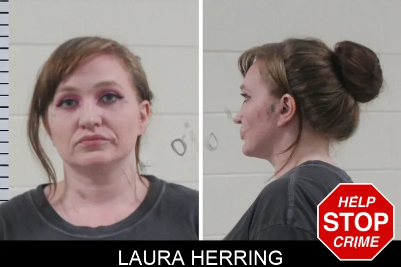 Laura Herring mugshot – Houston County , Georgia Laura Herring mugshot