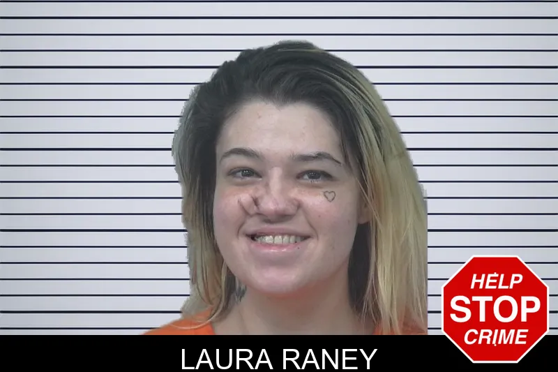 Laura Raney mugshot – Gwinnett County , Georgia Laura Raney mugshot