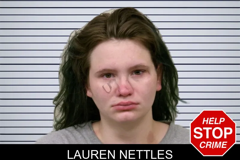 Lauren Nettles mugshot