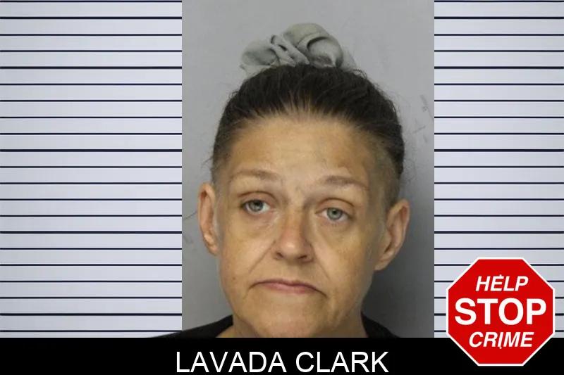 Lavada Clark mugshot