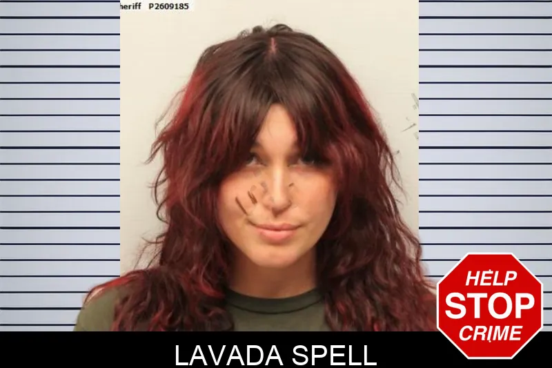 Lavada Spell mugshot – Chatham County , Georgia Lavada Spell mugshot