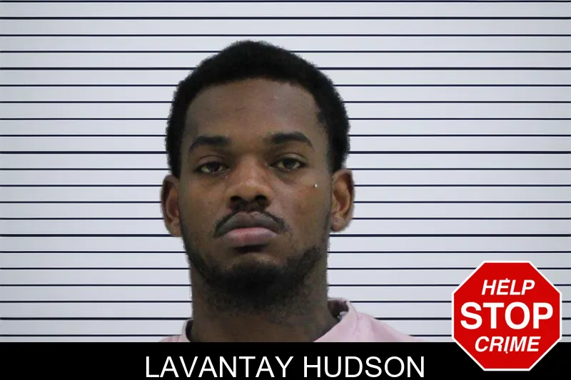 Lavantay Hudson mugshot