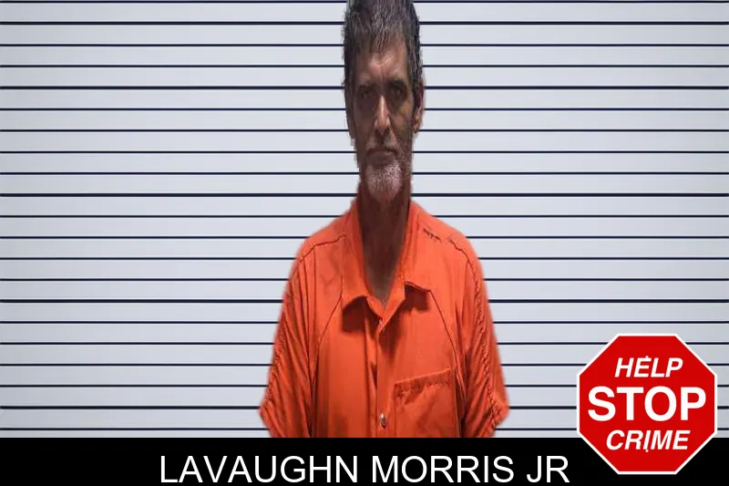 Lavaughn Morris Jr mugshot – Charlton County , Georgia Lavaughn Morris Jr mugshot