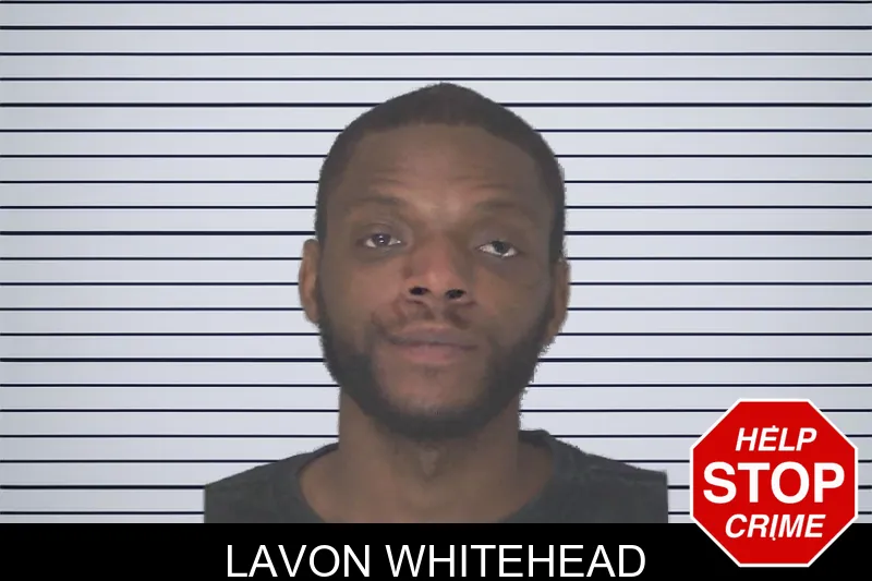 Lavon Whitehead mugshot – Douglas County , Georgia Lavon Whitehead mugshot