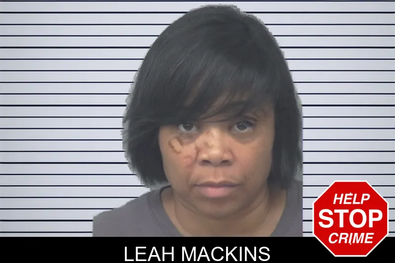 Leah Mackins mugshot – Gwinnett County , Georgia Leah Mackins mugshot