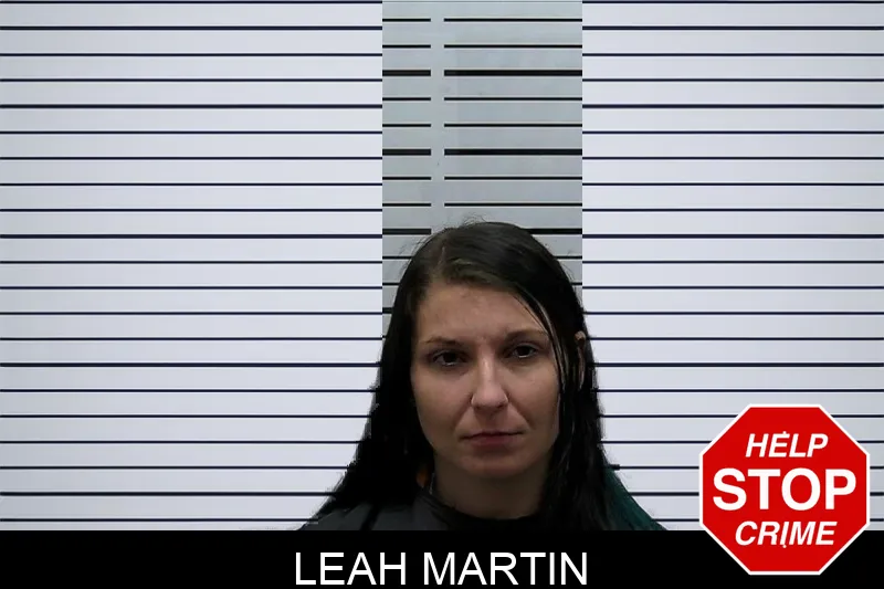 Leah Martin mugshot – Hart County , Georgia Leah Martin mugshot