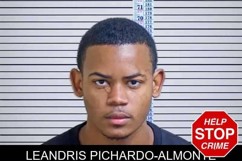 Leandris Pichardo-Almonte mugshot – Gwinnett County , Georgia Leandris Pichardo-Almonte mugshot