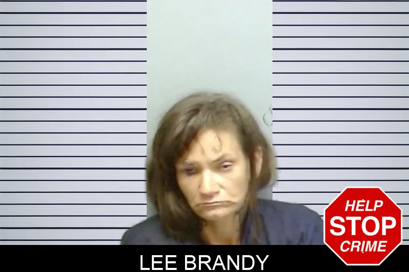 Lee Brandy mugshot