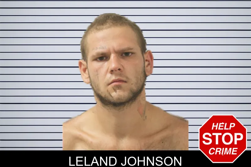 Leland Johnson mugshot – Toombs County , Georgia Leland Johnson mugshot