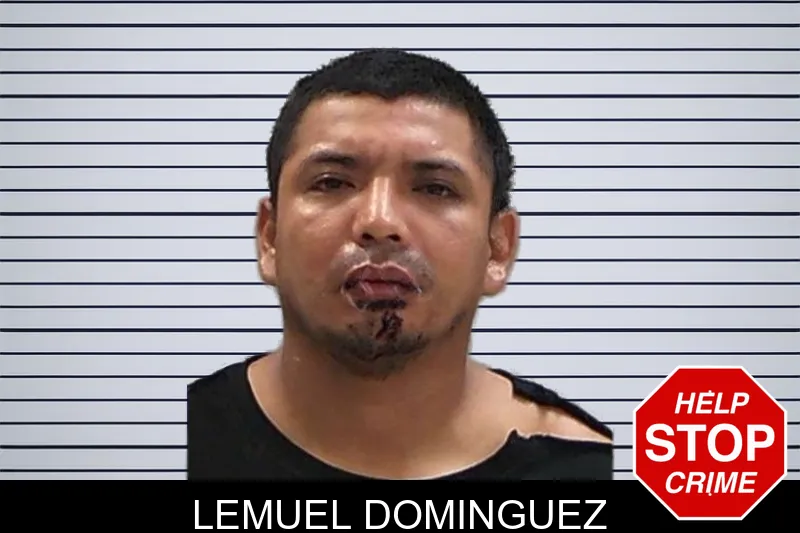 Lemuel Dominguez mugshot