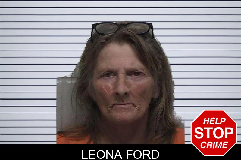 Leona Ford mugshot – Laurens County , Georgia Leona Ford mugshot
