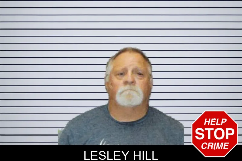 Lesley Hill mugshot – Greene County , Georgia Lesley Hill mugshot