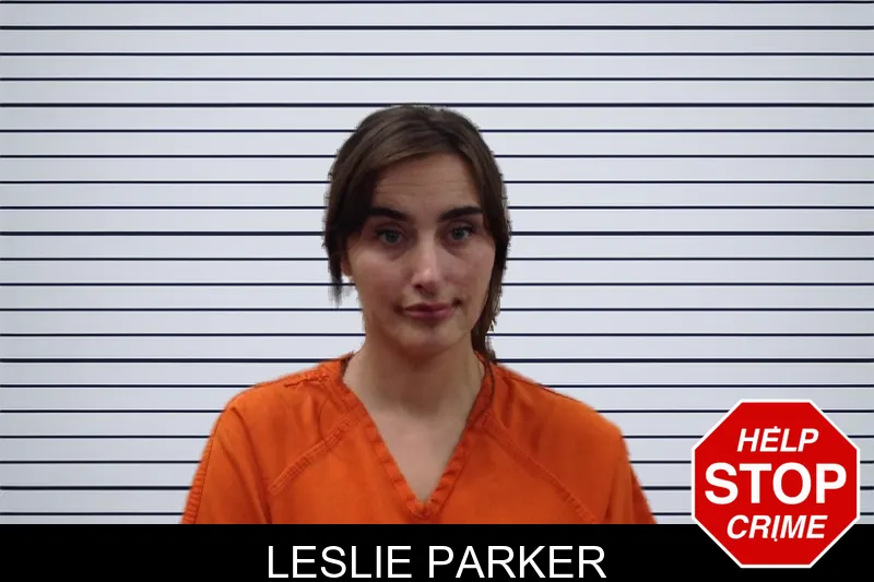 Leslie Parker mugshot – Pickens County , Georgia Leslie Parker mugshot