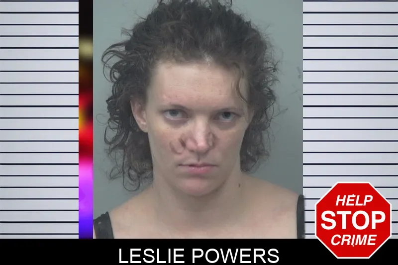 Leslie Powers mugshot – Gwinnett County , Georgia Leslie Powers mugshot