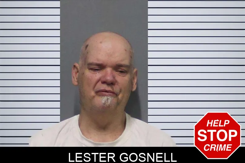 Lester Gosnell mugshot
