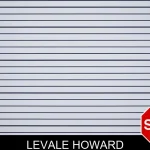 Levale Howard mugshot – Ware County , Georgia Levale Howard mugshot