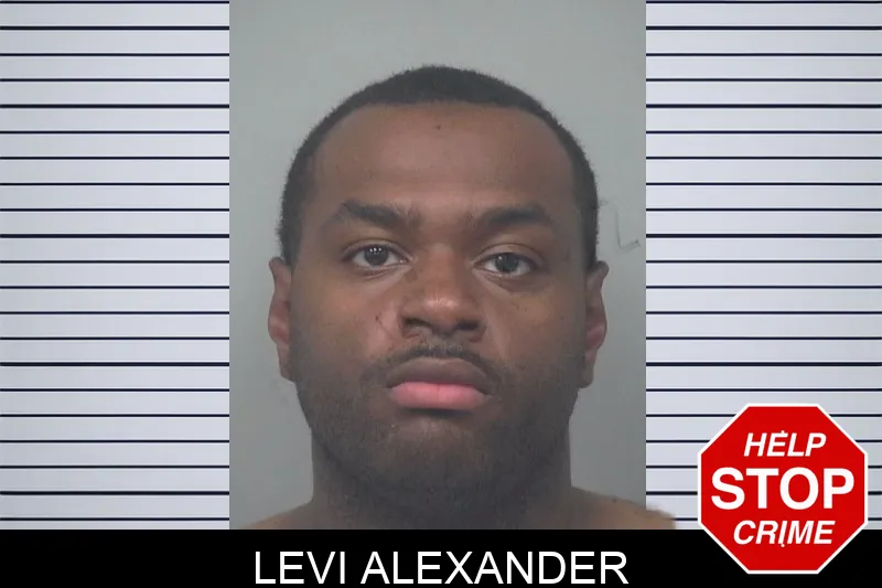 Levi Alexander mugshot – Gwinnett County , Georgia Levi Alexander mugshot