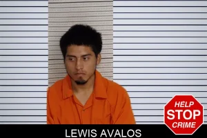 Lewis Avalos mugshot