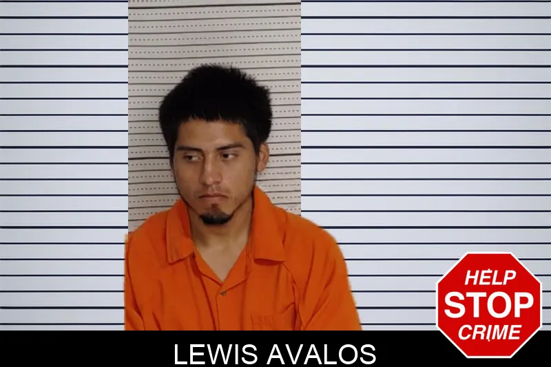 Lewis Avalos mugshot – Rockdale County , Georgia Lewis Avalos mugshot