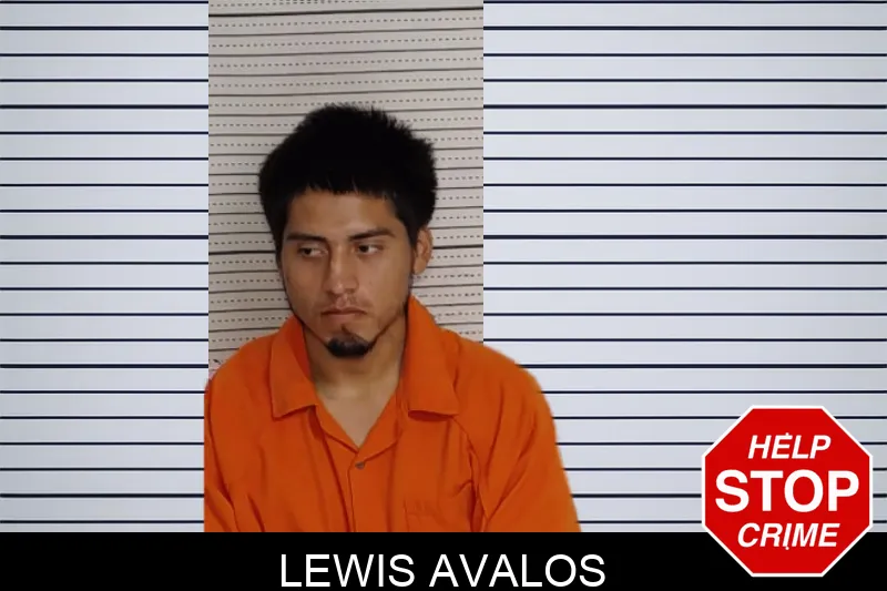 Lewis Avalos mugshot