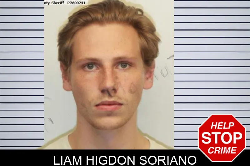 Liam Higdon Soriano mugshot – Chatham County , Georgia Liam Higdon Soriano mugshot