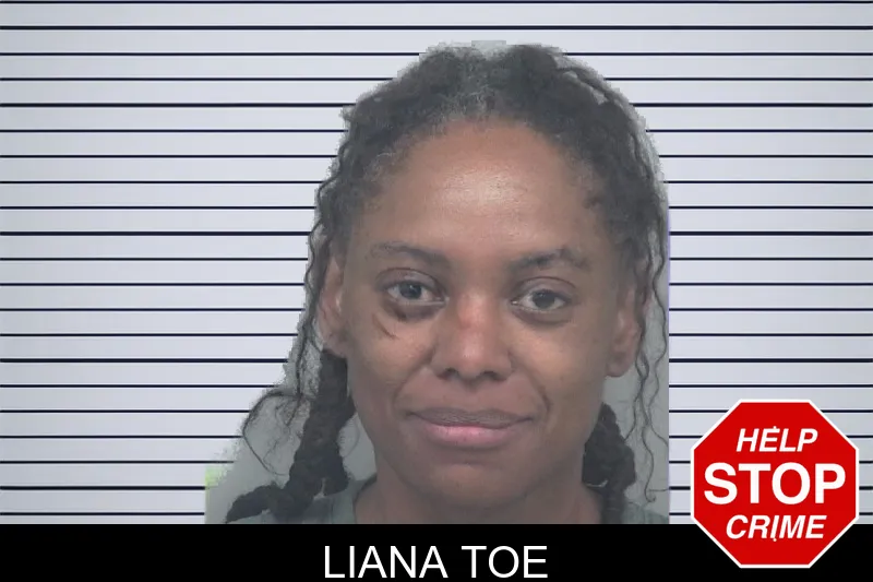 Liana Toe mugshot – Gwinnett County , Georgia Liana Toe mugshot