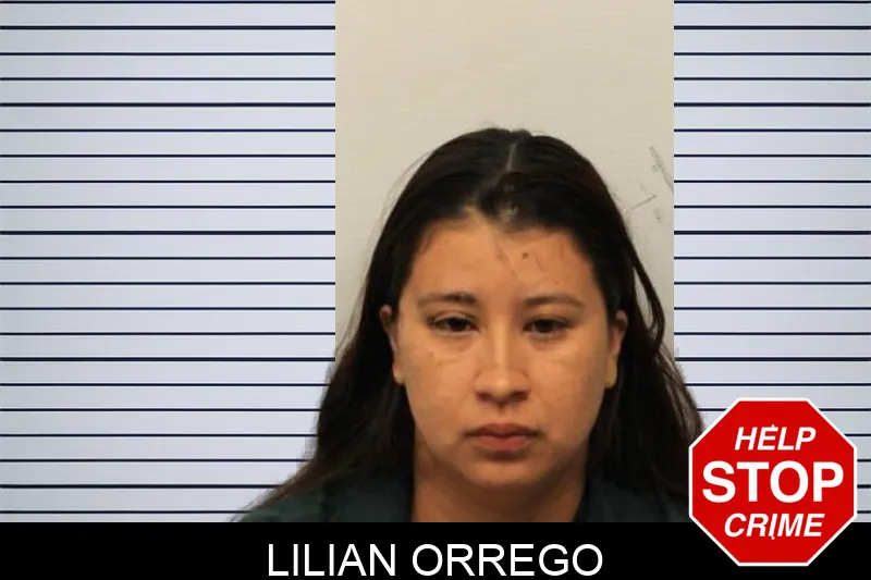 Lilian Orrego mugshot