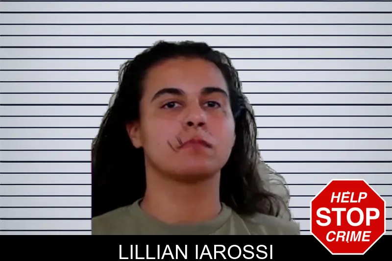 Lillian Iarossi mugshot – Liberty County , Georgia Lillian Iarossi mugshot
