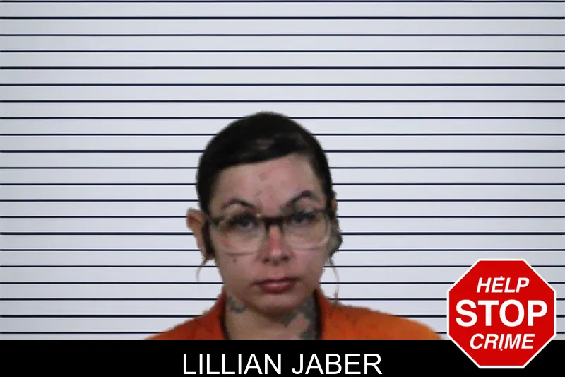Lillian Jaber mugshot