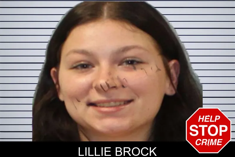 Lillie Brock mugshot