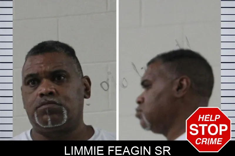 Limmie Feagin Sr mugshot – Houston County , Georgia Limmie Feagin Sr mugshot