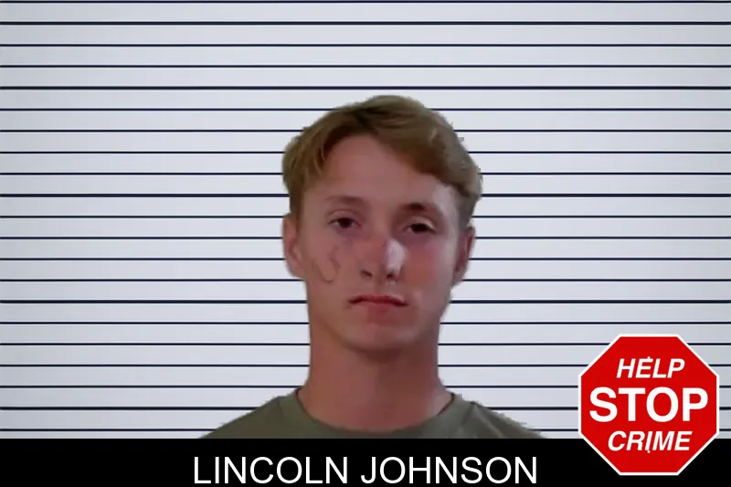 Lincoln Johnson mugshot