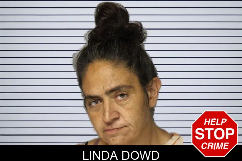 Linda Dowd mugshot – Hall County , Georgia Linda Dowd mugshot