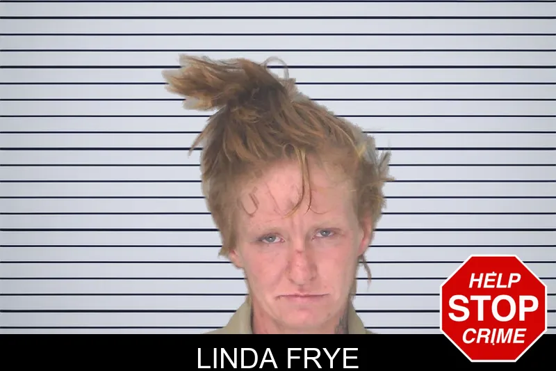 Linda Frye mugshot – Douglas County , Georgia Linda Frye mugshot