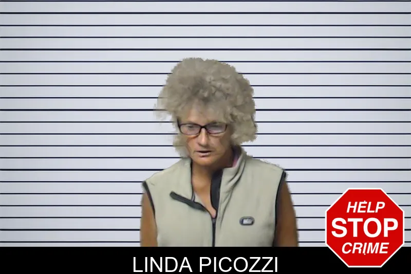 Linda Picozzi mugshot – DeKalb County , Georgia Linda Picozzi mugshot