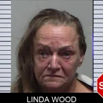 Linda Wood mugshot