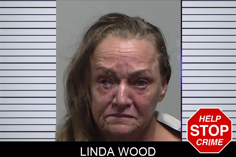 Linda Wood mugshot