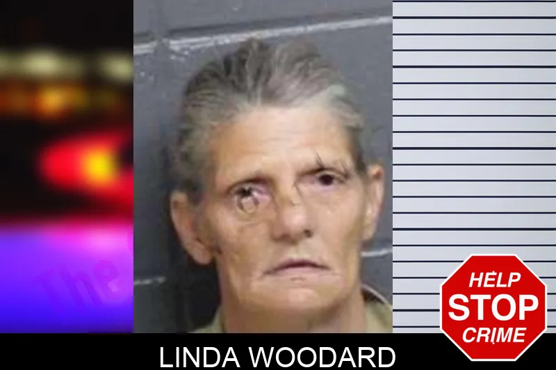 Linda Woodard mugshot