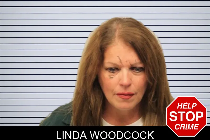 Linda Woodcock mugshot – Chatham County , Georgia Linda Woodcock mugshot