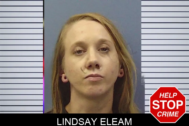 Lindsay Eleam mugshot – Chattooga County , Georgia Lindsay Eleam mugshot