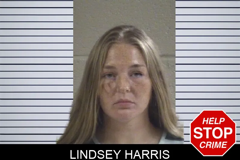 Lindsey Harris mugshot