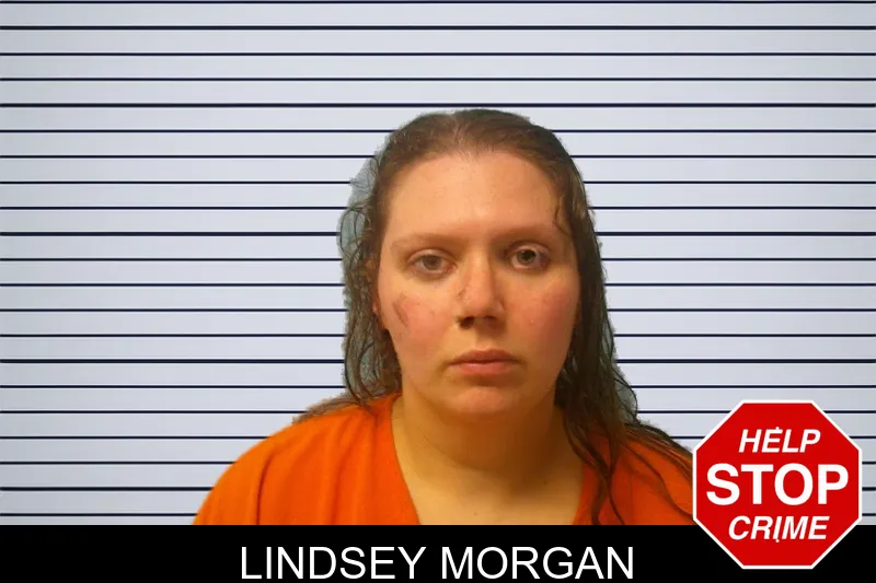 Lindsey Morgan mugshot – Franklin County , Georgia Lindsey Morgan mugshot
